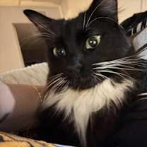 Thumbnail photo of Luna #3