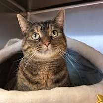 Thumbnail photo of Ruby #1