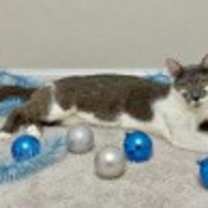 Thumbnail photo of Eloise #2