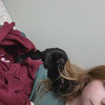 Thumbnail photo of Salem #1