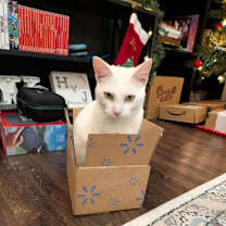 Thumbnail photo of Luna #3