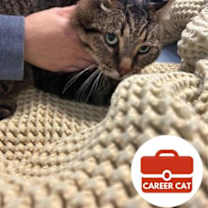 Thumbnail photo of Teddy #1