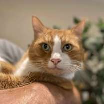 Thumbnail photo of Jack #1