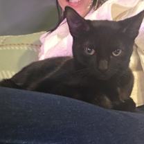 Thumbnail photo of Peeley #2