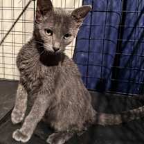 Thumbnail photo of Betty #2