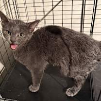 Thumbnail photo of Betty #3