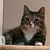 Thumbnail photo of Hunter #1