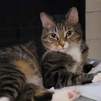 Thumbnail photo of Hunter #2