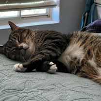 Thumbnail photo of Hunter #3