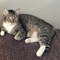 Thumbnail photo of Hunter #4