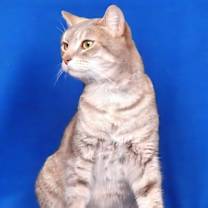 Thumbnail photo of LIZZY #2