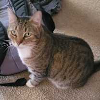 Thumbnail photo of Zoomer #2