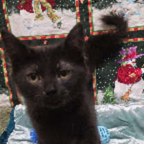 Thumbnail photo of London #1