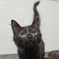 Thumbnail photo of London #2