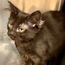 Thumbnail photo of London #3