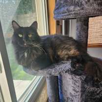 Thumbnail photo of Delano #1