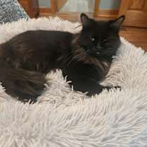 Thumbnail photo of Delano #2