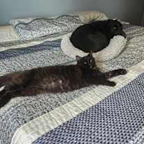 Thumbnail photo of Delano #3