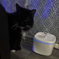 Thumbnail photo of Mina #2