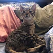 Thumbnail photo of Didi #1