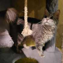 Thumbnail photo of Camela #2