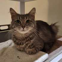 Thumbnail photo of Camela #3