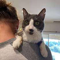 Thumbnail photo of Mayflower #1