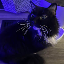 Thumbnail photo of Mina #1