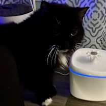 Thumbnail photo of Mina #3