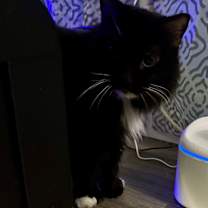 Thumbnail photo of Mina #4