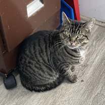 Thumbnail photo of Lynette #3