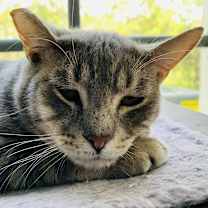 Thumbnail photo of Cameron #1