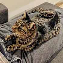 Thumbnail photo of Frida #1