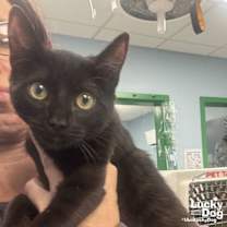 Thumbnail photo of Layla #2