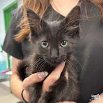 Thumbnail photo of Ashley #1