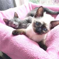 Thumbnail photo of Maisy #4