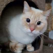 Thumbnail photo of Finn #1