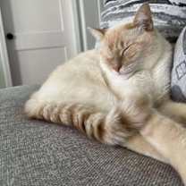 Thumbnail photo of Finn #2