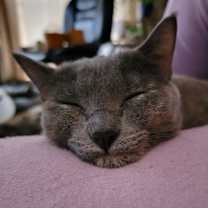 Thumbnail photo of Pria #4