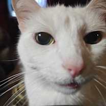 Thumbnail photo of Soup #3