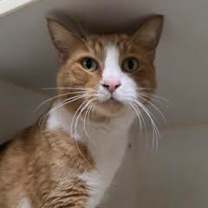 Thumbnail photo of Jack #2