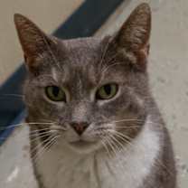 Thumbnail photo of Serenity #3