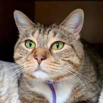 Thumbnail photo of Aggie #1