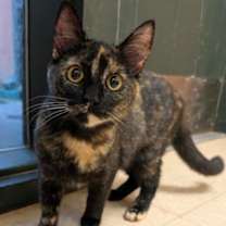 Thumbnail photo of Sandy #2