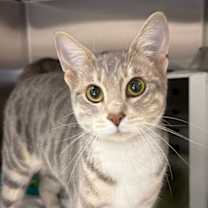 Thumbnail photo of Mabel #1