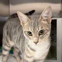 Thumbnail photo of Mabel #2