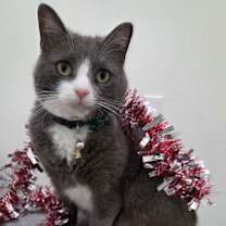 Thumbnail photo of Buddy #1