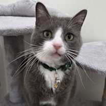 Thumbnail photo of Buddy #4