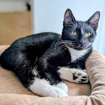 Thumbnail photo of Steven #3