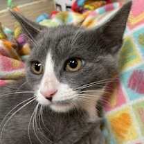 Thumbnail photo of Isabella #2